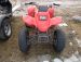 2001 Honda TRX 250 EX Quad