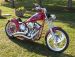 2004 Custom Built Chopper